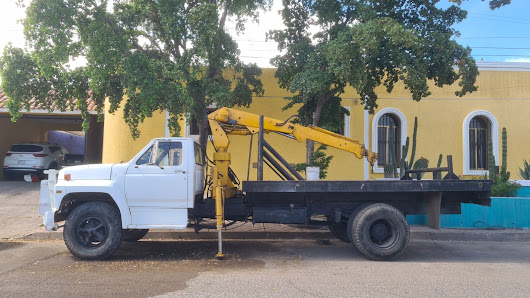 Servicio De Grua Y Renta De Plantas Kanapes